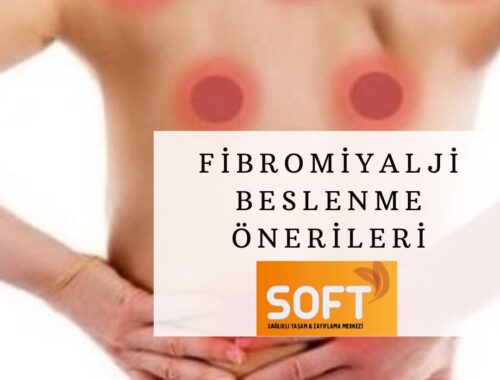 fibromiyalji